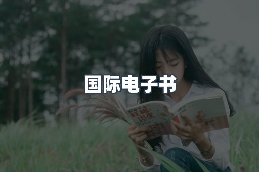 国际电子书